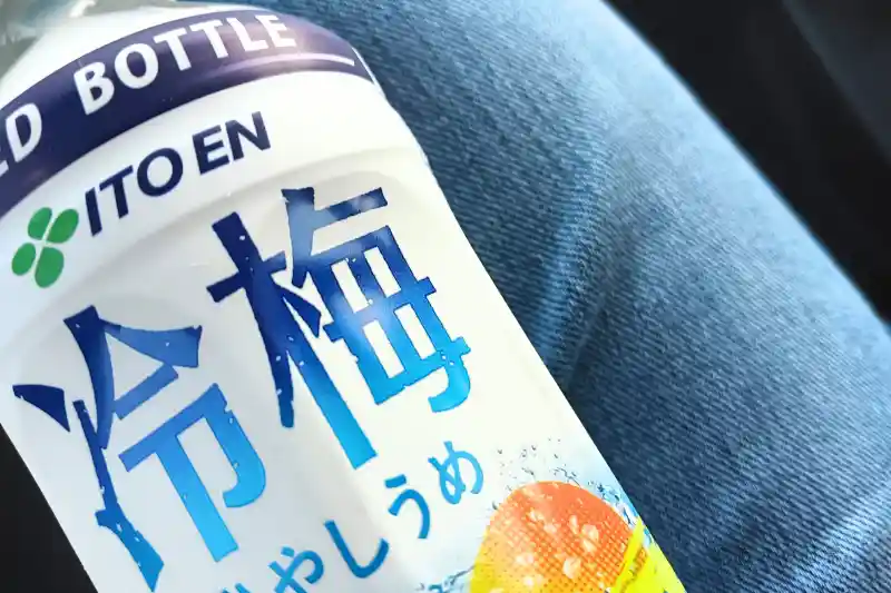 冷梅_02