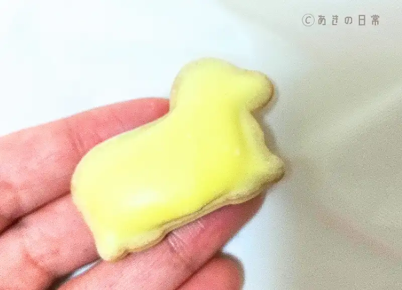 動物ヨーチ_06